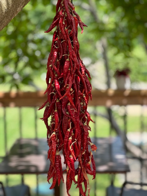 Mediterranean peppers